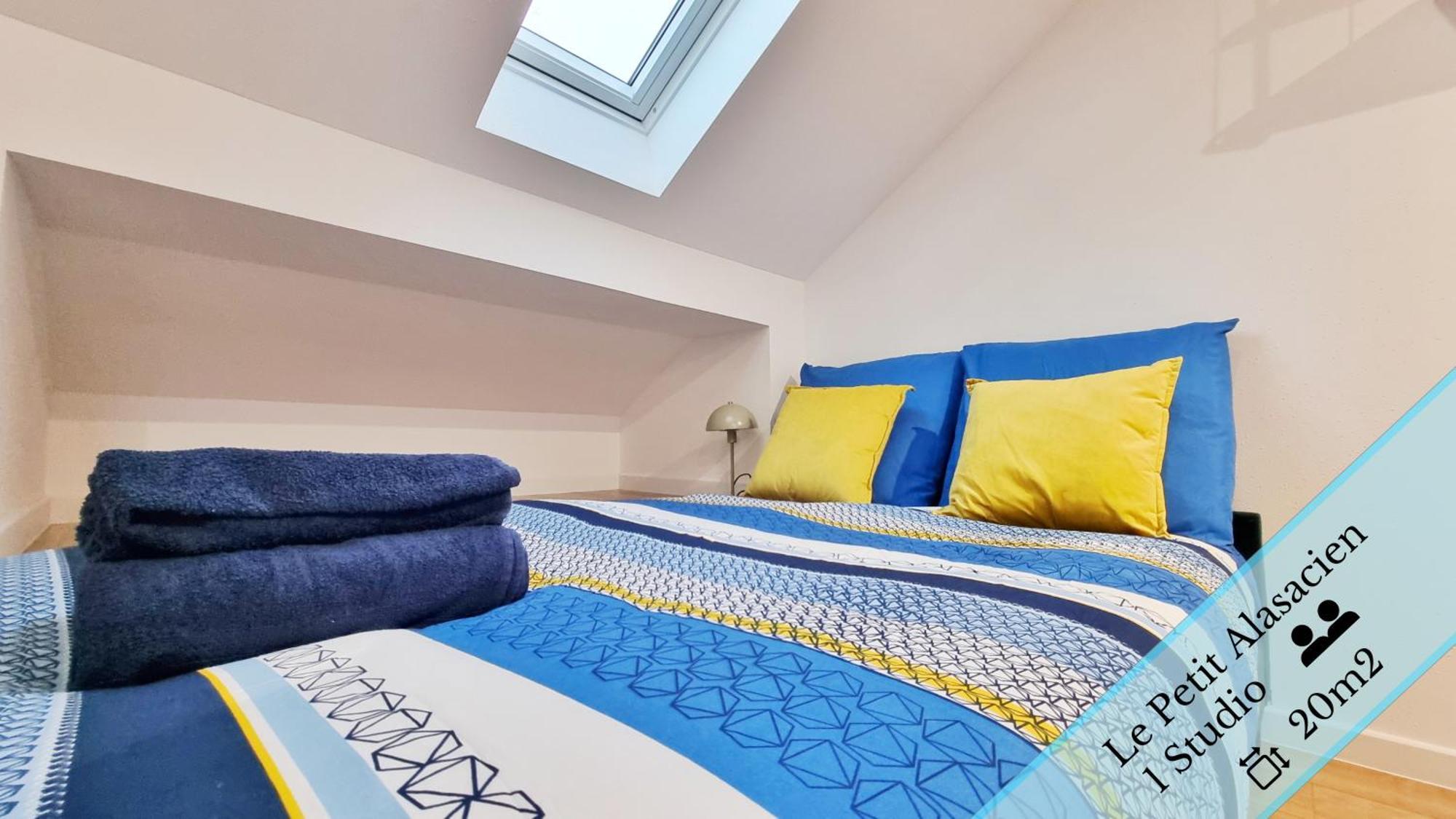 Les Suites Mulhousiennes - Charme & Serenite Mulhouse Luaran gambar