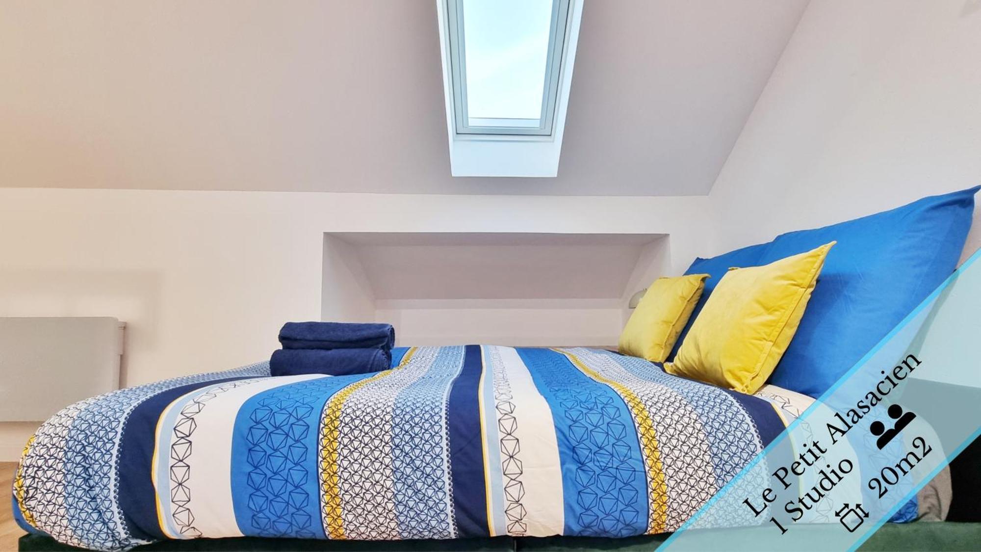 Les Suites Mulhousiennes - Charme & Serenite Mulhouse Bilik gambar
