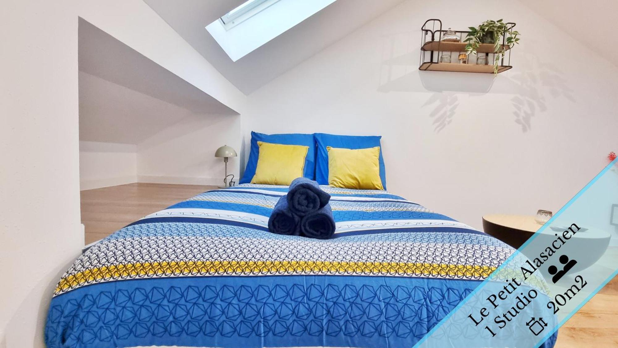 Les Suites Mulhousiennes - Charme & Serenite Mulhouse Bilik gambar