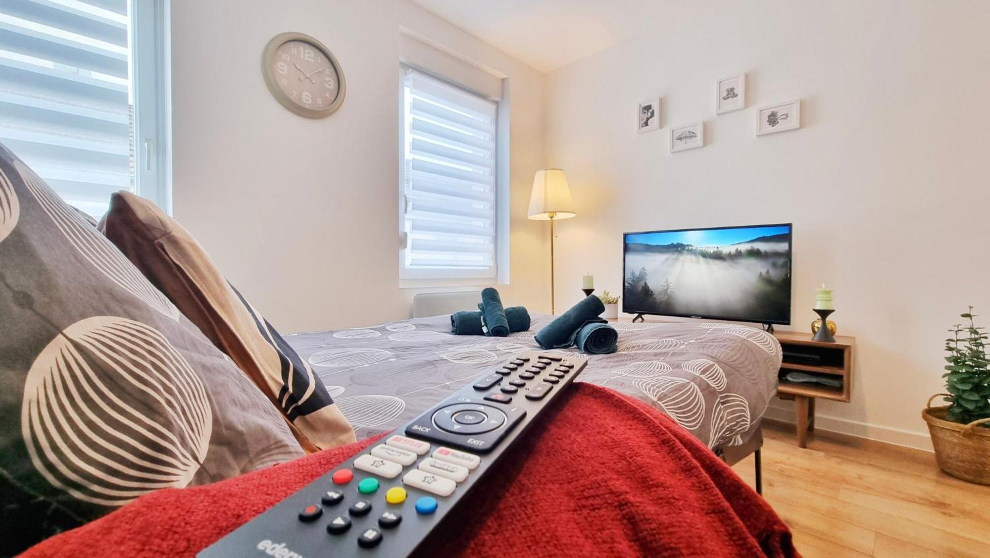 Les Suites Mulhousiennes - Charme & Serenite Mulhouse Luaran gambar
